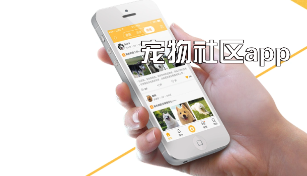 宠物社区app