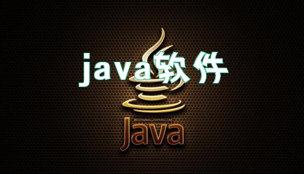 java软件