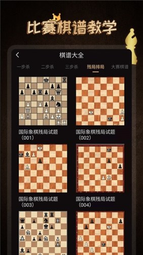 国际象棋大师手机中文版游戏截图3