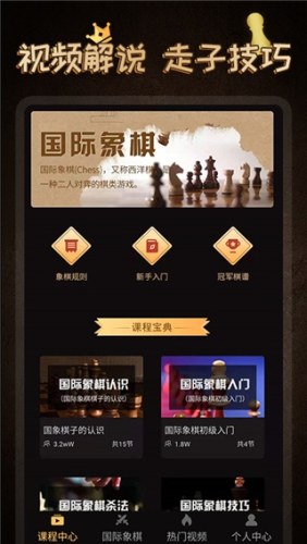 国际象棋大师手机中文版游戏截图4