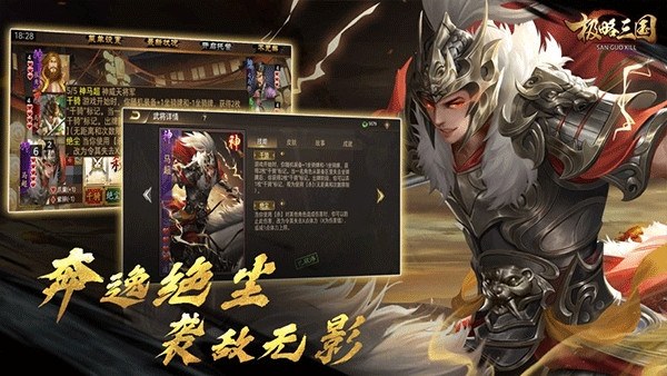 三国kill(极略三国)单机版游戏截图2