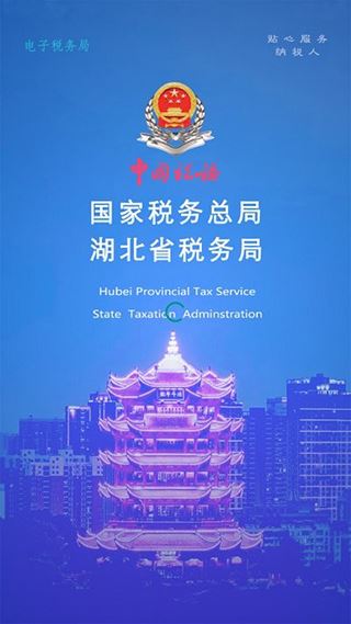 湖北税务app图片1