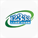 掌上12333官方app(人力资源社会保障政务服务平台app)