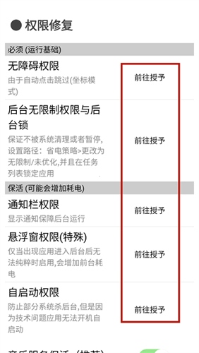 纯粹Pro无障碍设置