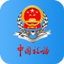 广东税务app