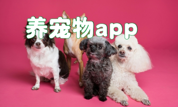 养宠物app